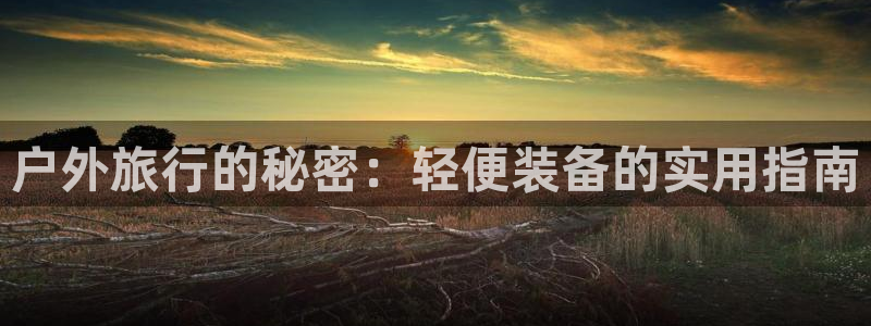 正版新宝gg
