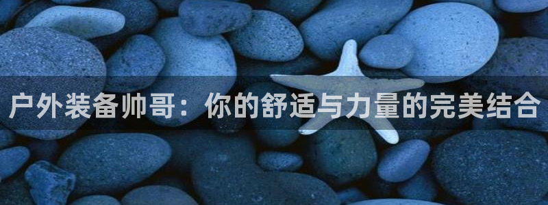 新宝gg工资