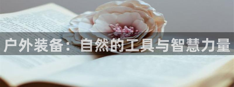 收新宝gg