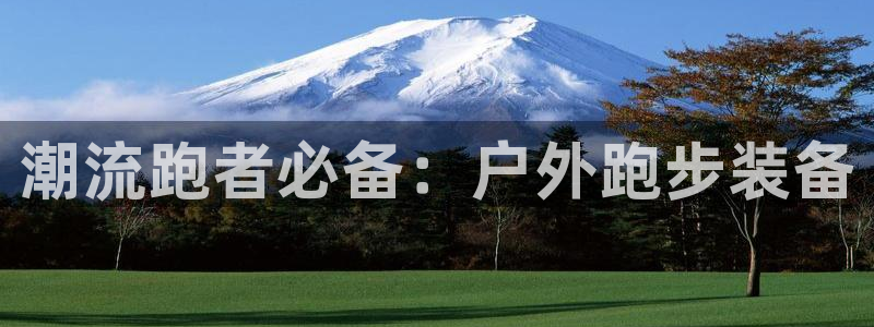 新宝gg招商42873