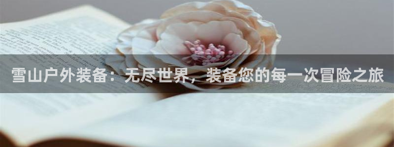 新宝GG创业奇迹