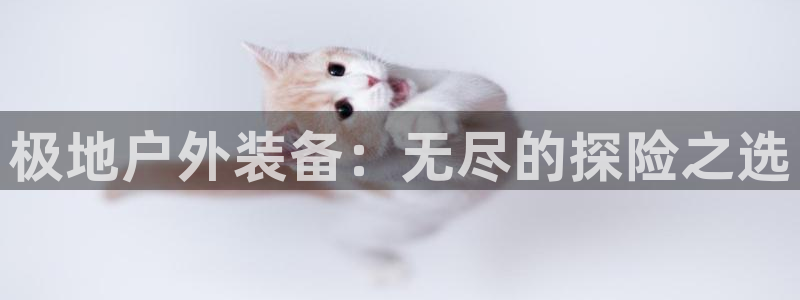 新宝gg可乐88383