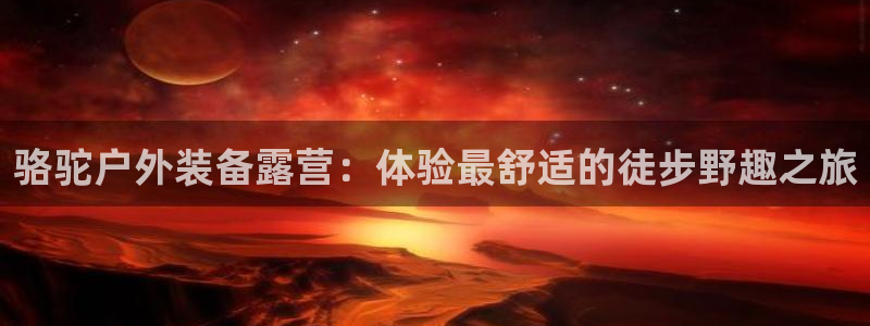 新宝GG主管41333
