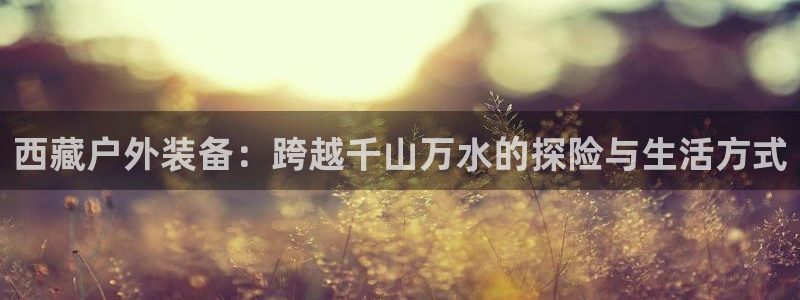 新宝gg主管_