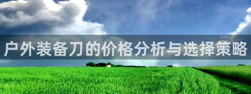 怎么代理新宝gg