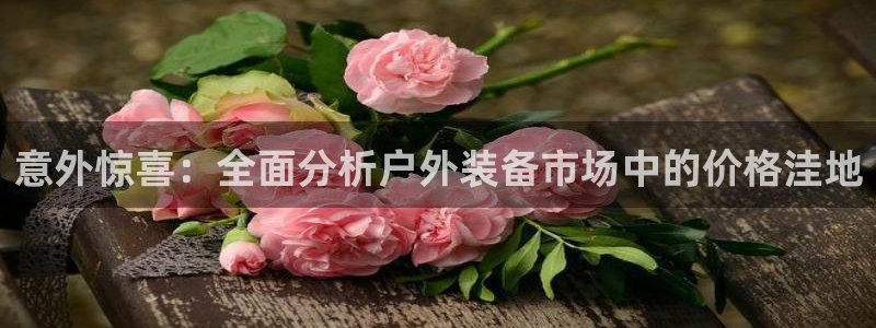 gg新宝创新
