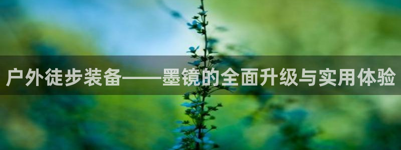 新宝gg账号