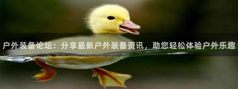 新宝gg娱乐盟主