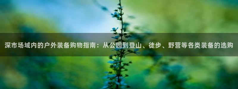 新宝gg会员