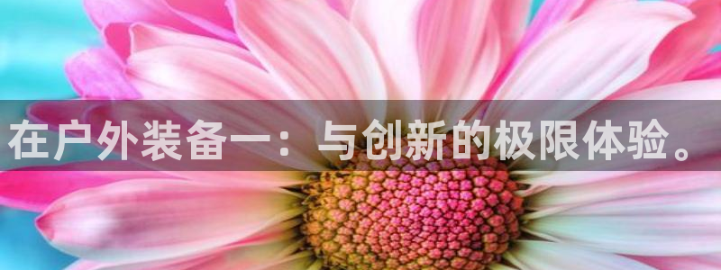 新宝gg网址