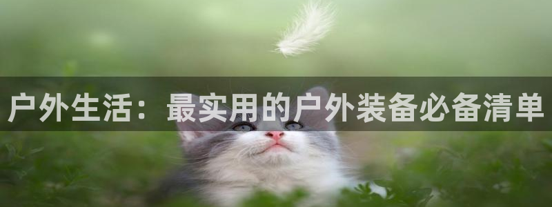 新宝gg佣金