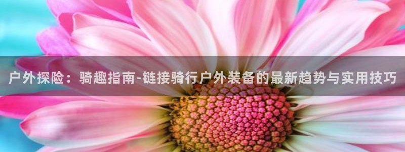 新宝gg线长