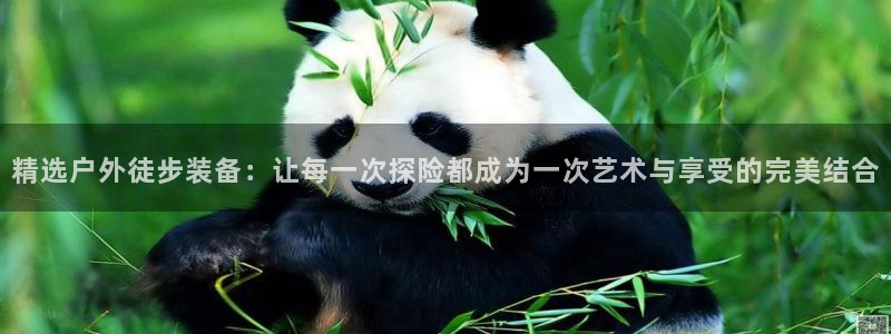 登录新宝gg游戏