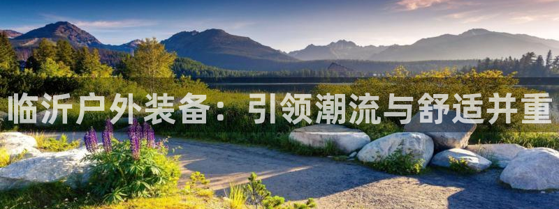 新宝gg注册 776317