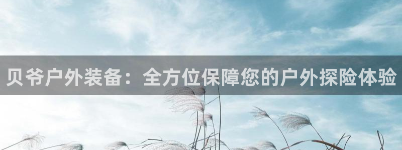 新宝gg金砖彩票