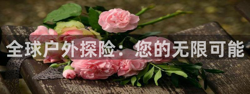 新宝gg平台开发