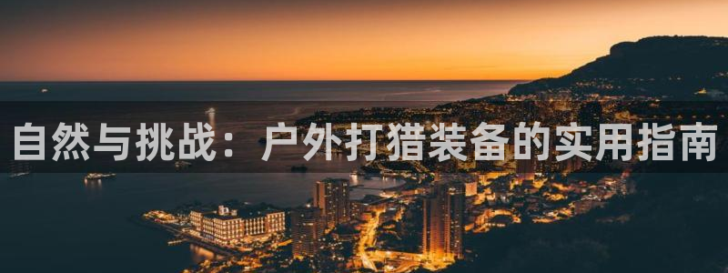 新宝gg手机登录