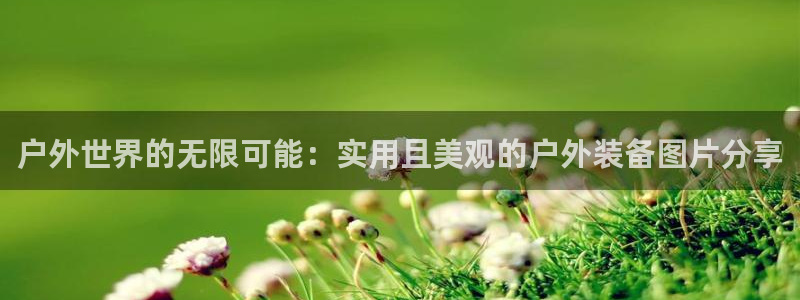 新宝GG手机客户端