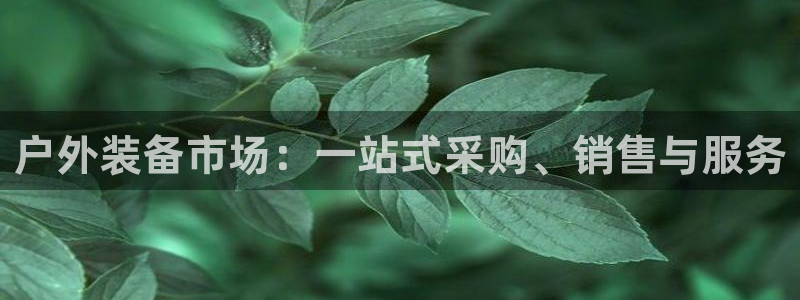 新宝gg创造奇迹平台