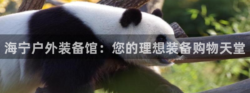 新宝gg平台连接