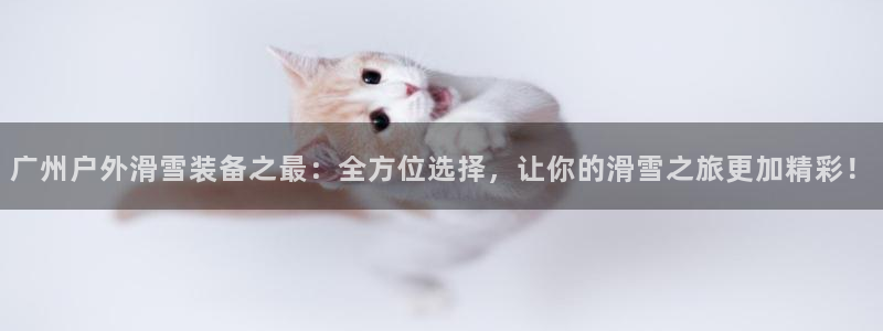 新宝测速gg