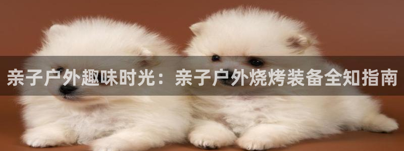 【新宝gg】