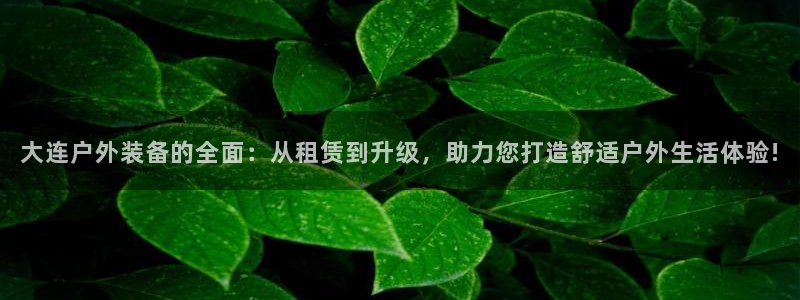 新宝GG股东