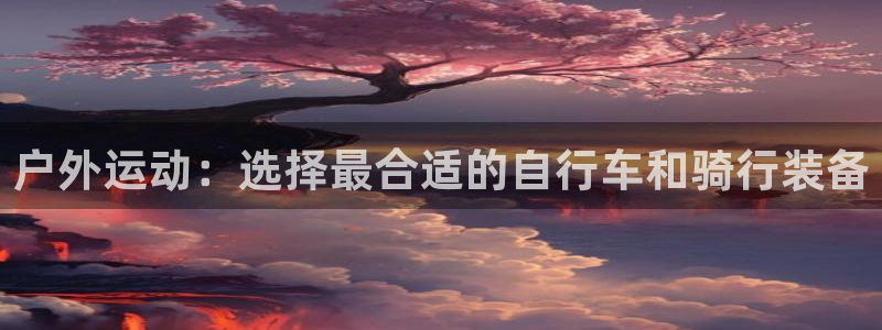 关于新宝GG
