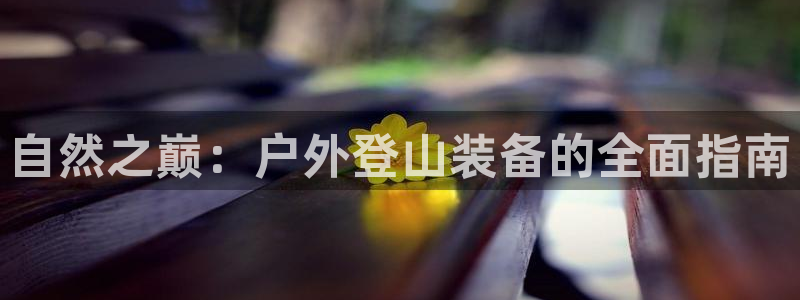 新宝gg赚钱