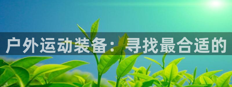 新宝gg挣钱
