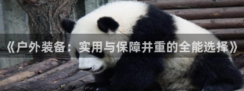 新宝GG53339咨询新宝GG