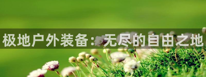 新宝gg为什么没人管