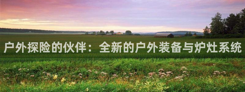 新宝gg平台登录