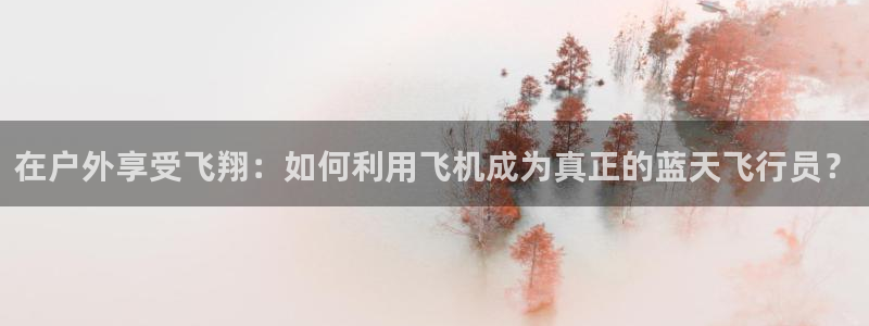 新宝gg平台首页