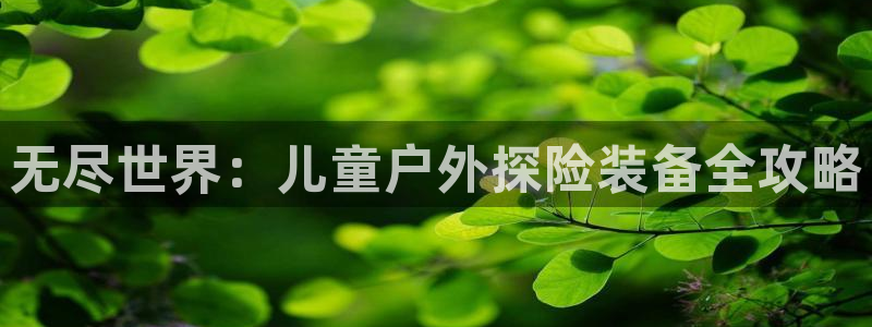 新宝gg是什么