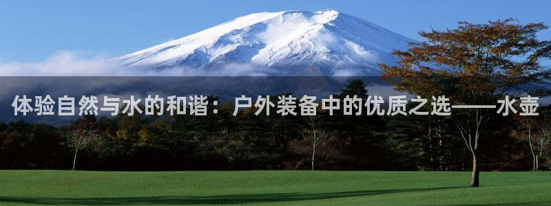 新宝gg创造奇迹下载