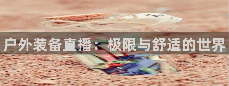 新宝gg入口网址
