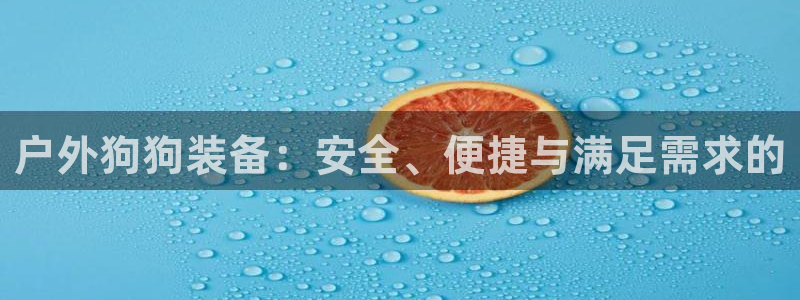 新宝gg创造奇迹下载