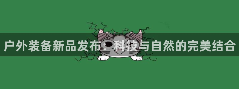 新宝gg是新宝几