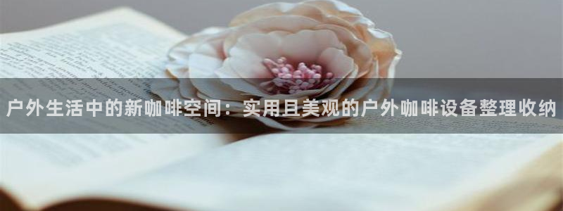 新宝gg地址新宝二