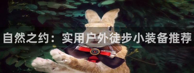 新宝gg官网登录找代理