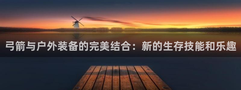 新宝gg入口网址