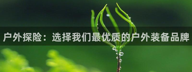 新宝gg平台连接